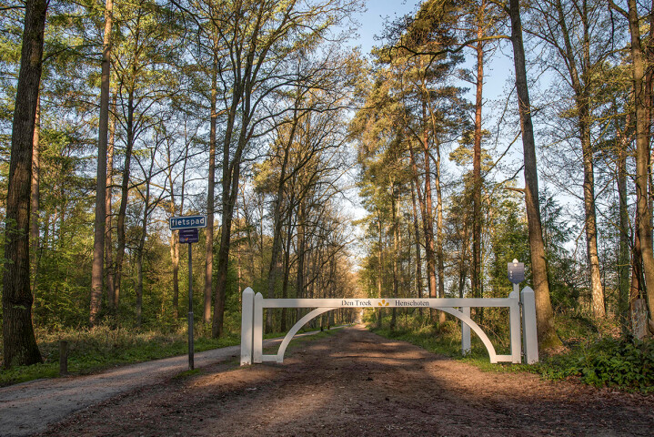Eye Image Den Treek Henschoten 1