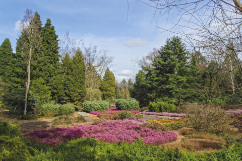 Heidetuin Bomenmuseum