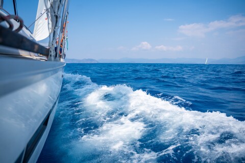 Shutterstock 2321082373 kopie