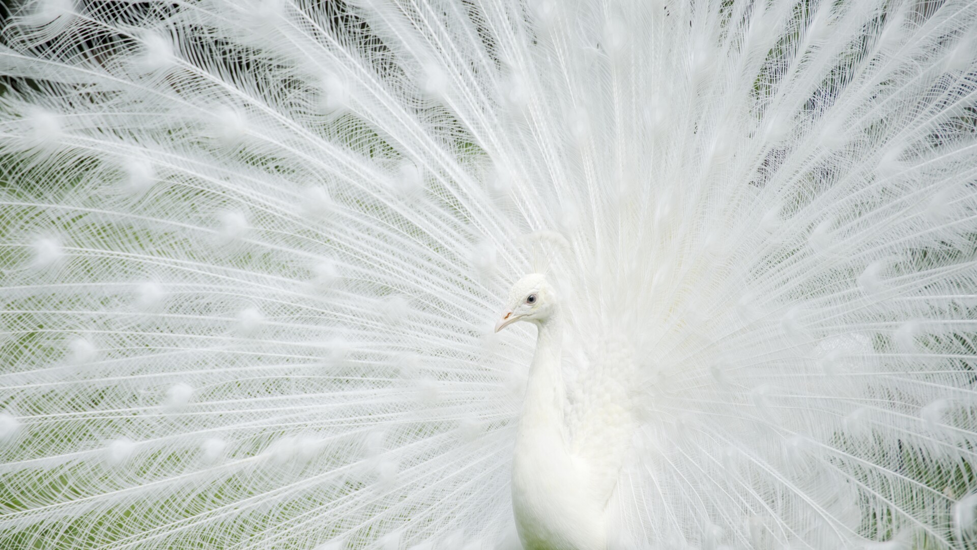 Shutterstock 2789485257